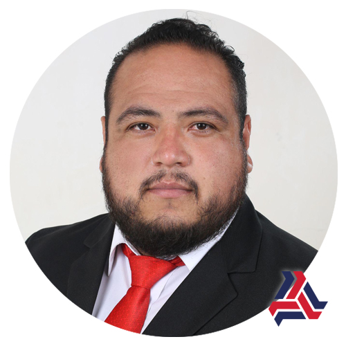 Ing. Julio Adrián Hernández Vázquez